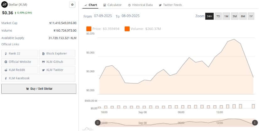 Price Action Steadies with Market Support