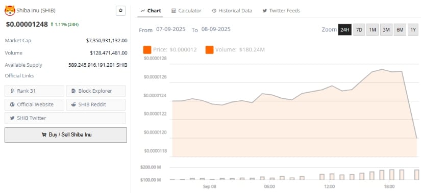 Shiba Inu Long-Term Chart