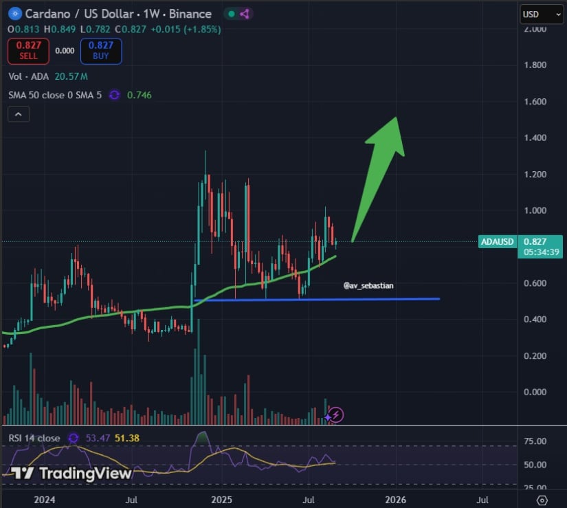Cardano Price Outlook Ahead of September Decisions