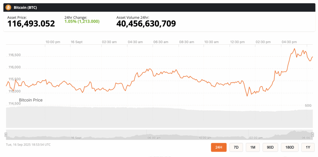 bitcoin