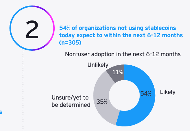 EY-Parthenon stablecoin users