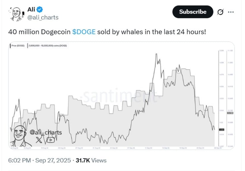 Whale Activity Adds Pressure but Signals Opportunity