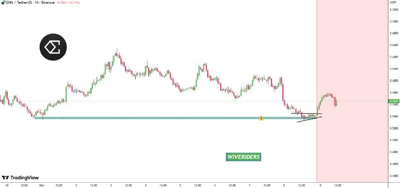 Risks & Considerations