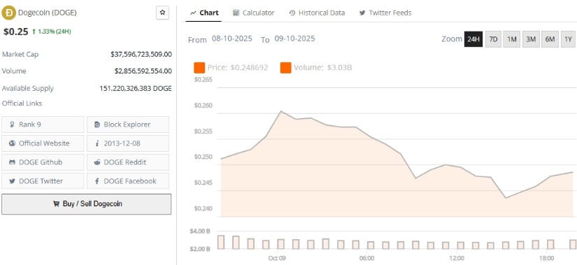 Dogecoin Outlook and Key Takeaways