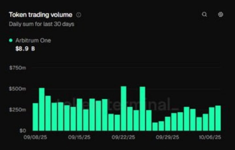 On-Chain Activity Keeps Momentum Alive