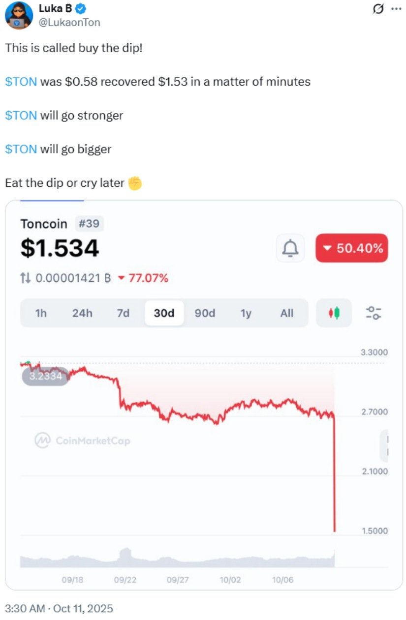 TON amid volatility