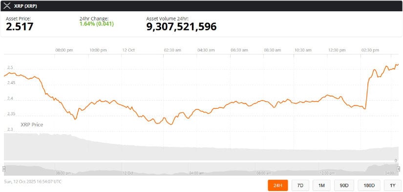XRP Bounces Back From Major Sell-Off