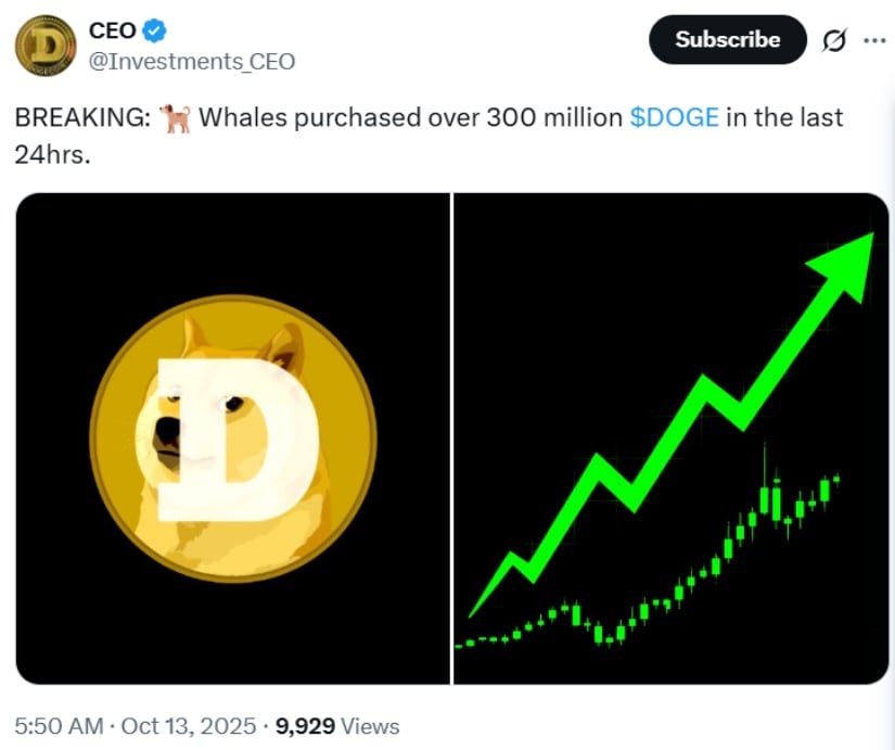 Whale Accumulation Strengthens the Bullish Case