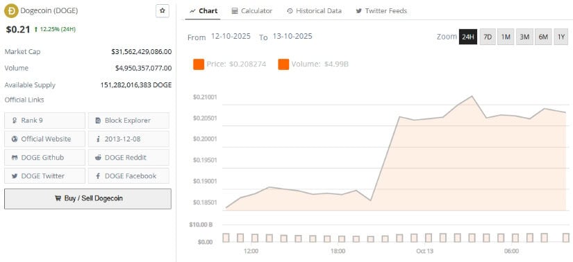 Broader Outlook and Future of Dogecoin