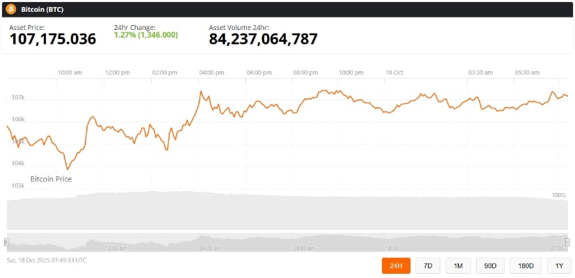 Bitcoin Recovery Potential Chart