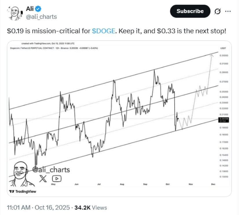 Dogecoin Holds Key Support as Bulls Defend $0.19 Zone