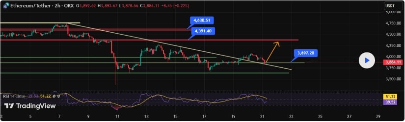 Market Sentiment and Outlook