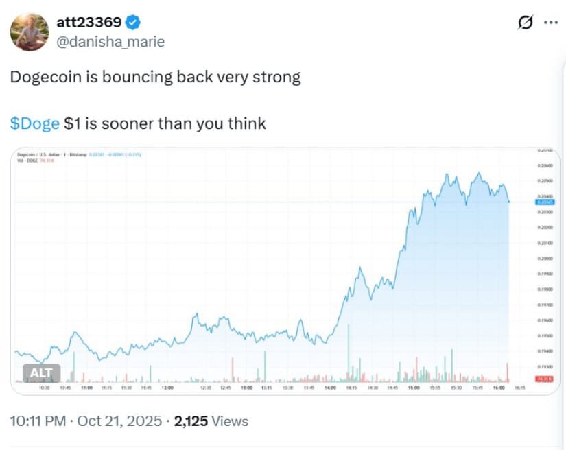 Dogecoin Shows Signs of Recovery