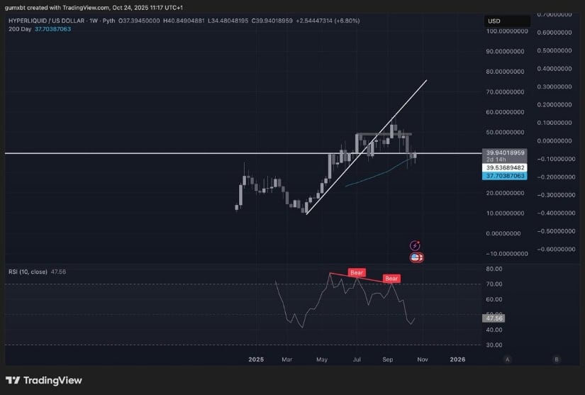 Bullish Catalysts and Oversold Reversal Setup