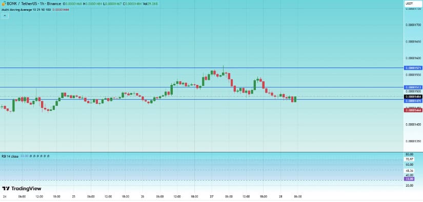 Bonk Coin Price Overview