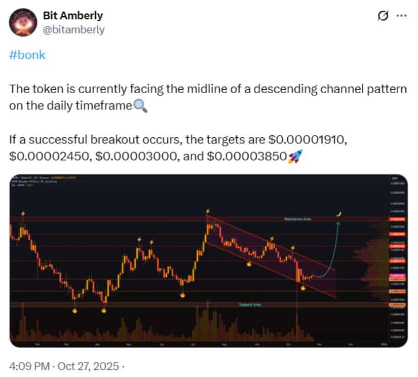 Community and Market Insights
