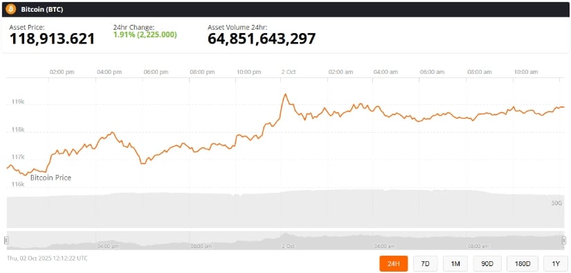 Bitcoin's Resilient Price Chart