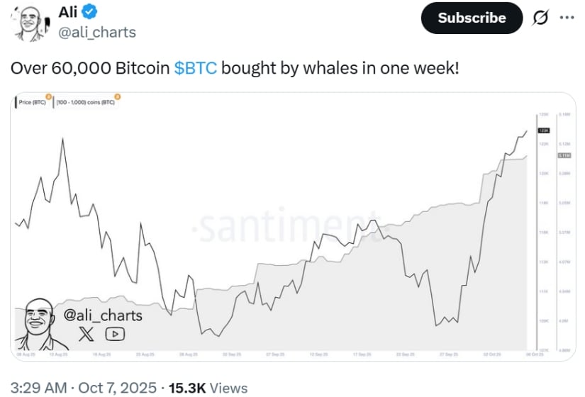 🟨CRYPTO ANALISI: "Bitcoin: Segnali di Rialzo e Fiducia Istituzionale"