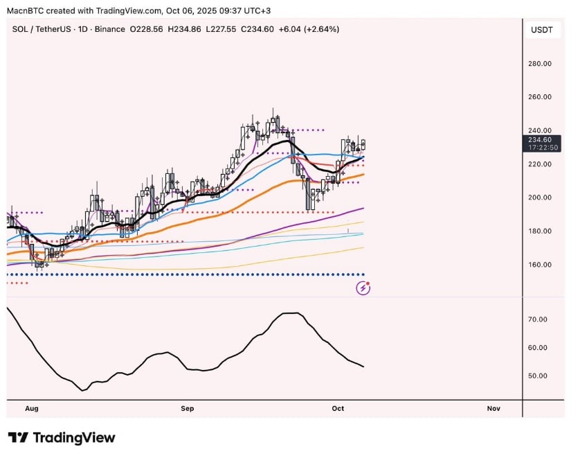 Market Indicators Highlight Bullish Structure