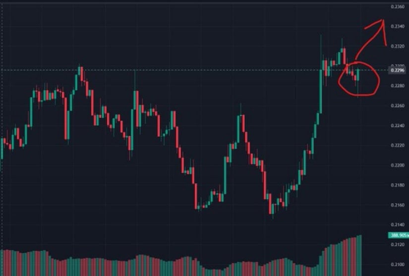 HBAR Calls for potential Upside Toward $1