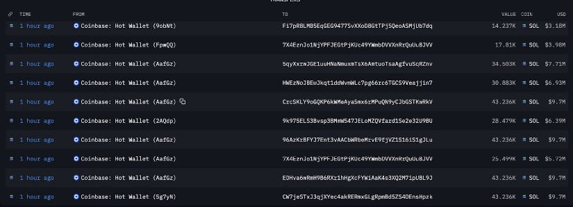 Whales Step In as Price Slips Below $230