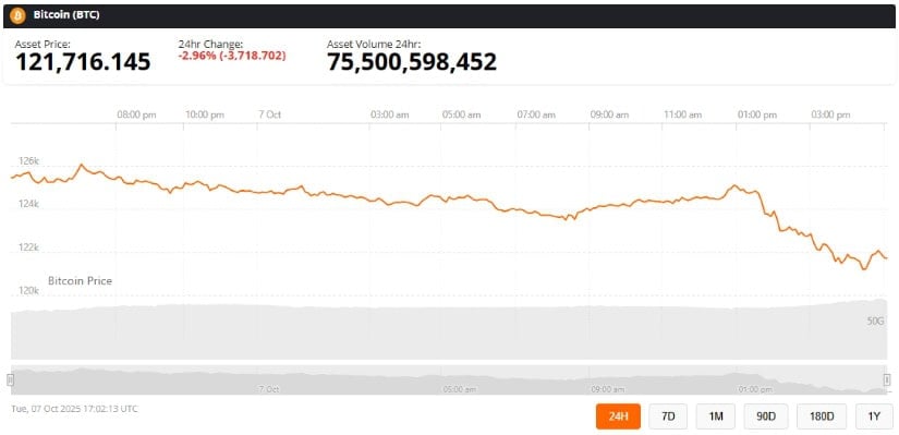 Bitcoin Price Action: Cooling After Record Highs
