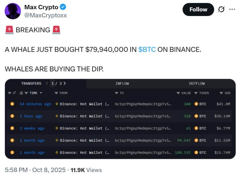 Whales Accumulate as Institutional Demand Strengthens