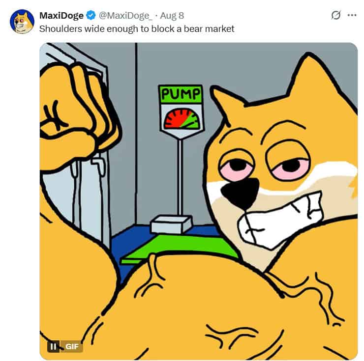 Maxi Doge flexing on Twitter