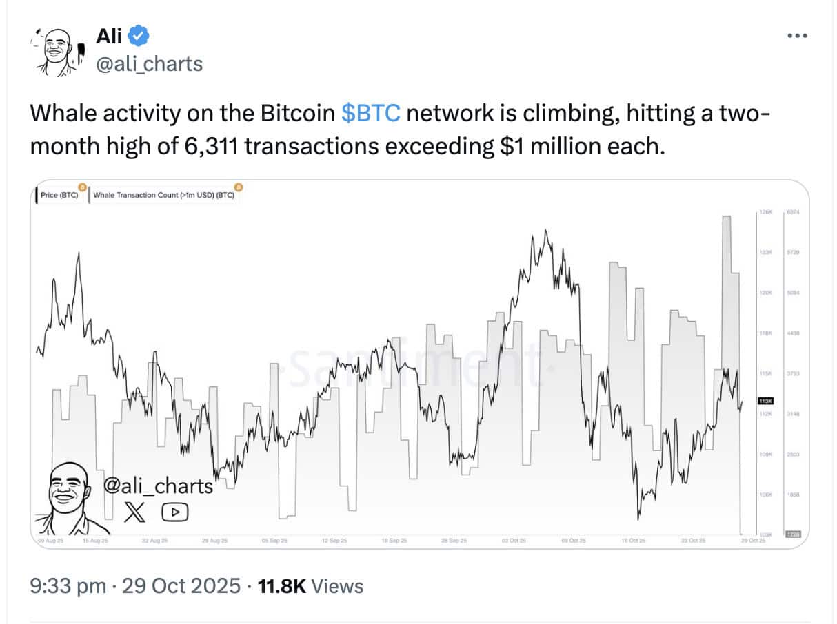 一周内6,311 $BTC鲸鱼交易：Bitcoin Hyper能否引领下一轮山寨币反弹？