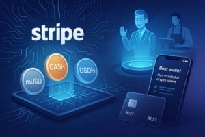 أداة إصدار العملة المستقرة من Stripe قد تكون مستقبل التمويل: إليك السبب