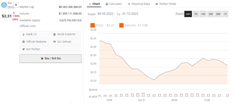 Long-Term Considerations & Investment Lens