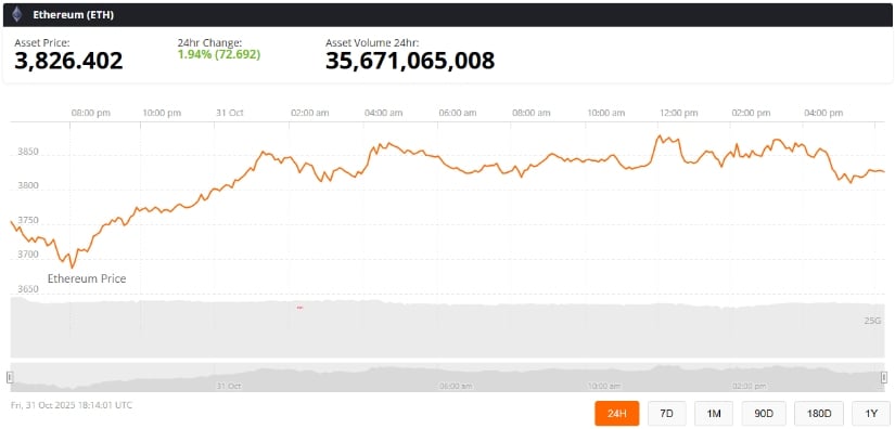 Risks and Market Considerations