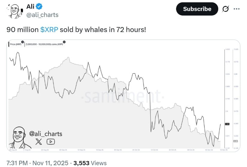 Whale Activity Sparks Mixed Sentiment
