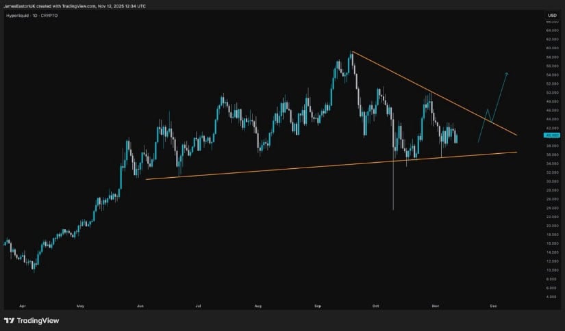 Hyperliquid Price Prediction Targets $100