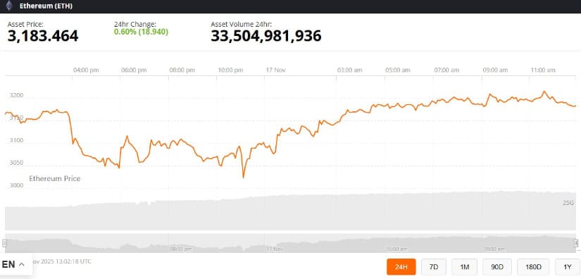 Stablecoin Development & Layer-2 Scalability