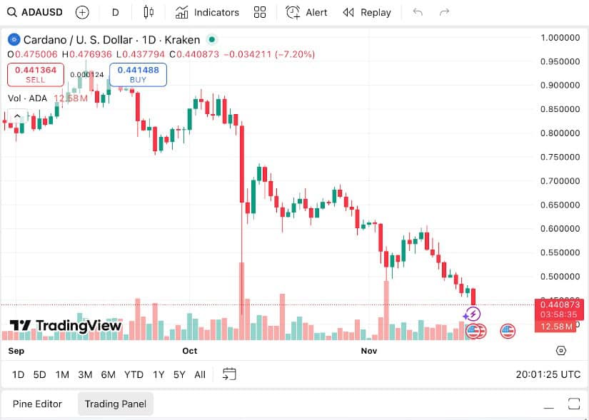 Cardano Shows Renewed Accumulation as Long Term Buyers Return