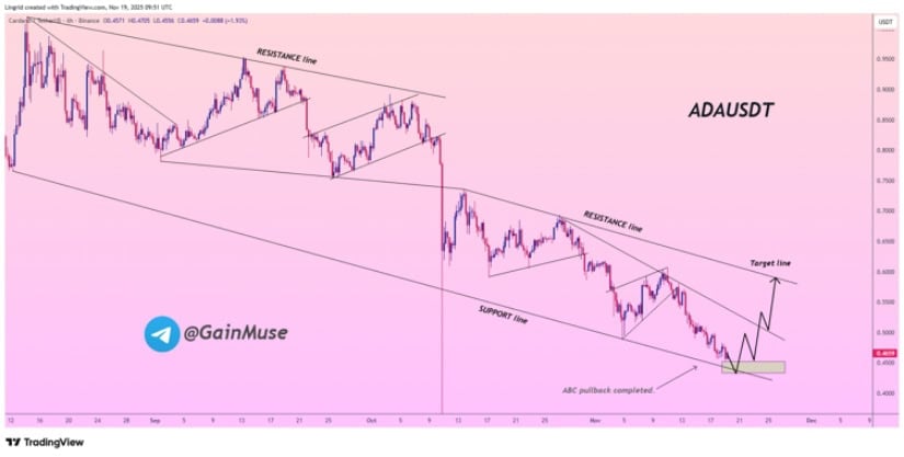 Cardano Shows Renewed Accumulation as Long Term Buyers Return