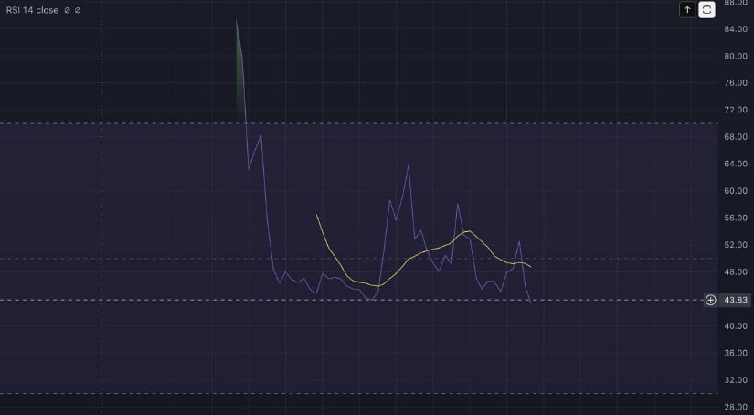 Neothon's RSI Chart