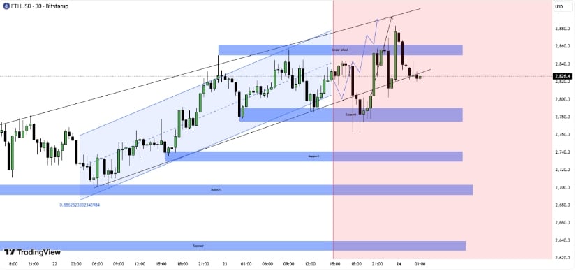 Long-Term Holders Strengthen Ethereum’s Support