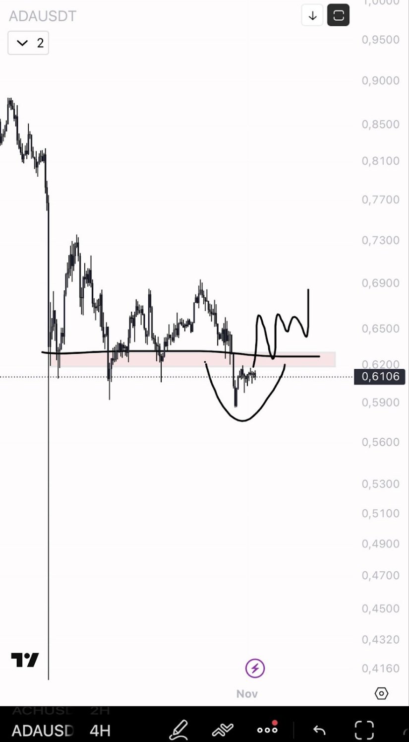 On-Chain Growth Strengthens the Bullish Case