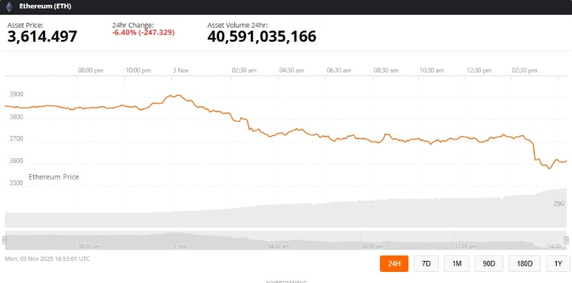 Bullish and Bearish Scenarios