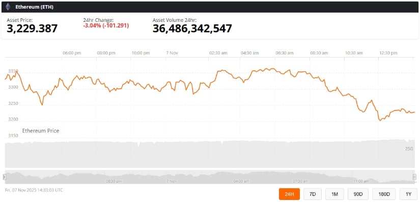 Broader Outlook and Market Catalysts