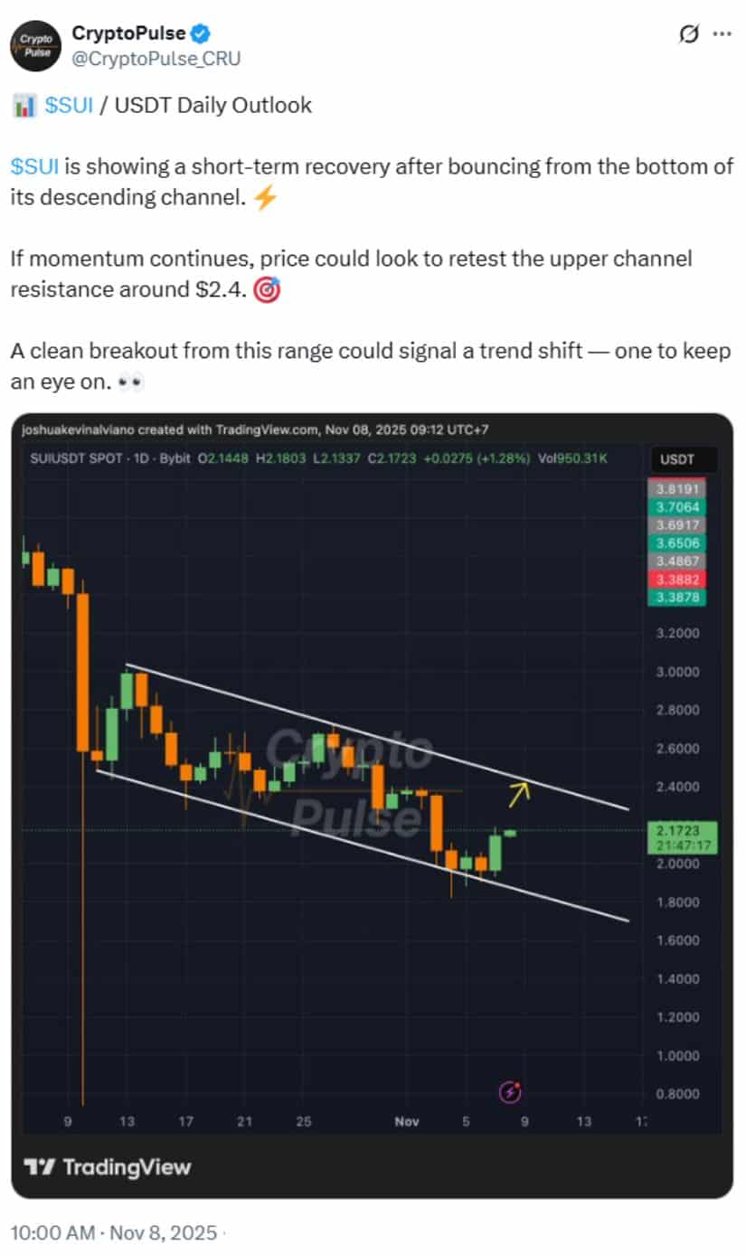 Balancing Bullish Potential and Market Risks