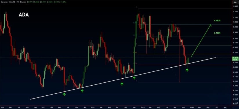 Cardano Showing Some Signs of Reversal