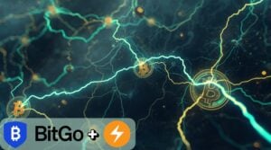 BitGo Partners with Voltage to Bring Lightning Network to Institutional Clients
