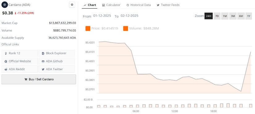 Final Thoughts: Can ADA Recover in 2025 or Does the Breakdown Continue?