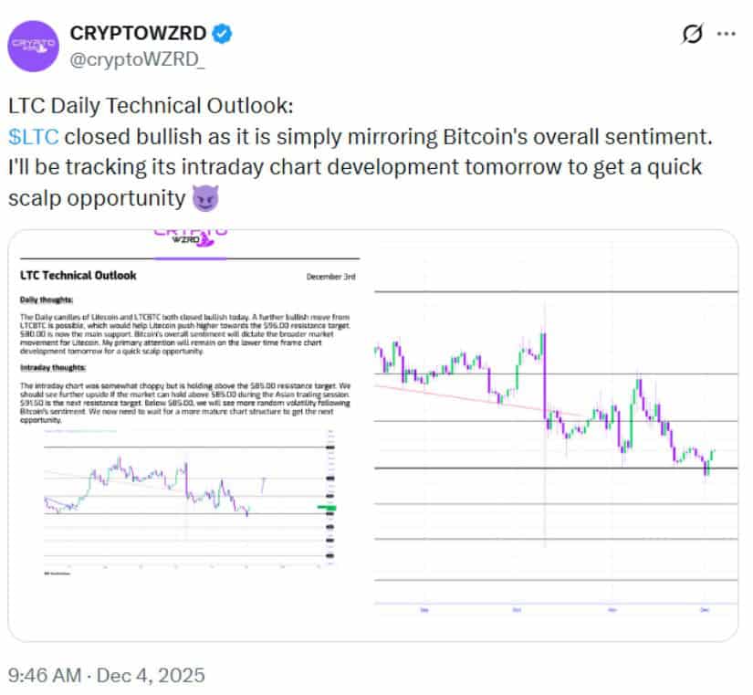 Broader Market Context: Fundamentals and External Drivers