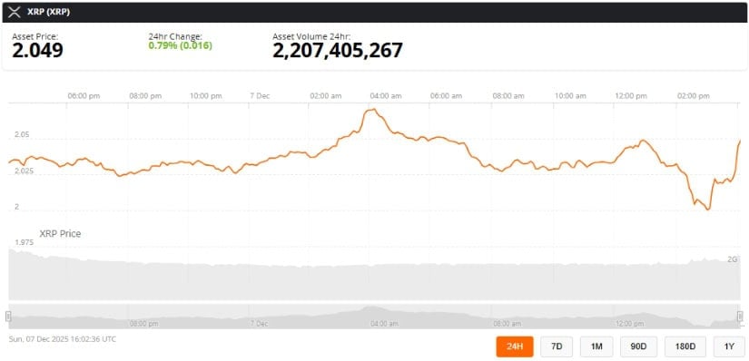 Looking Ahead: Quiet Strength Hidden Beneath the Surface