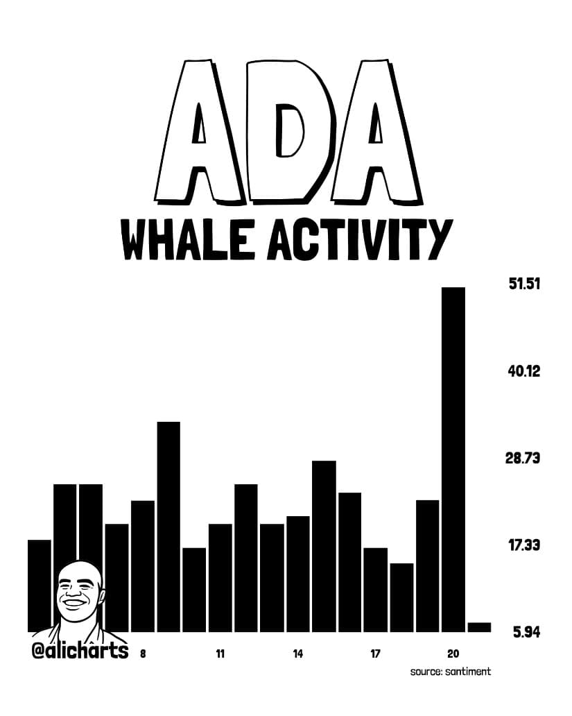 ADA Whale Activity Picks Up Near $0.20